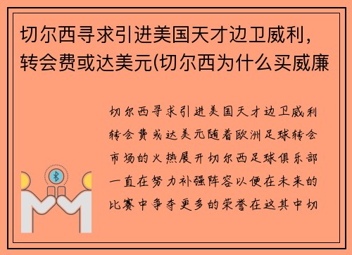 切尔西寻求引进美国天才边卫威利，转会费或达美元(切尔西为什么买威廉)