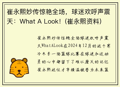 崔永熙妙传惊艳全场，球迷欢呼声震天：What A Look！(崔永熙资料)