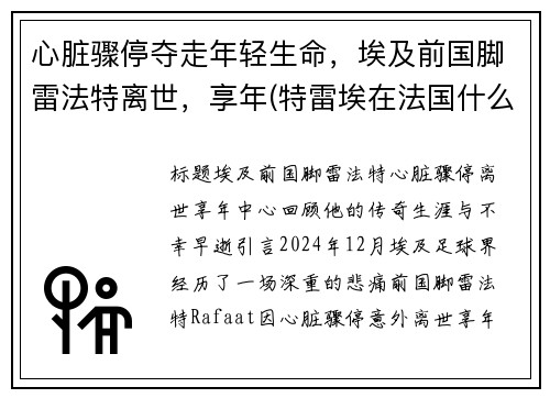 心脏骤停夺走年轻生命，埃及前国脚雷法特离世，享年(特雷埃在法国什么位置)